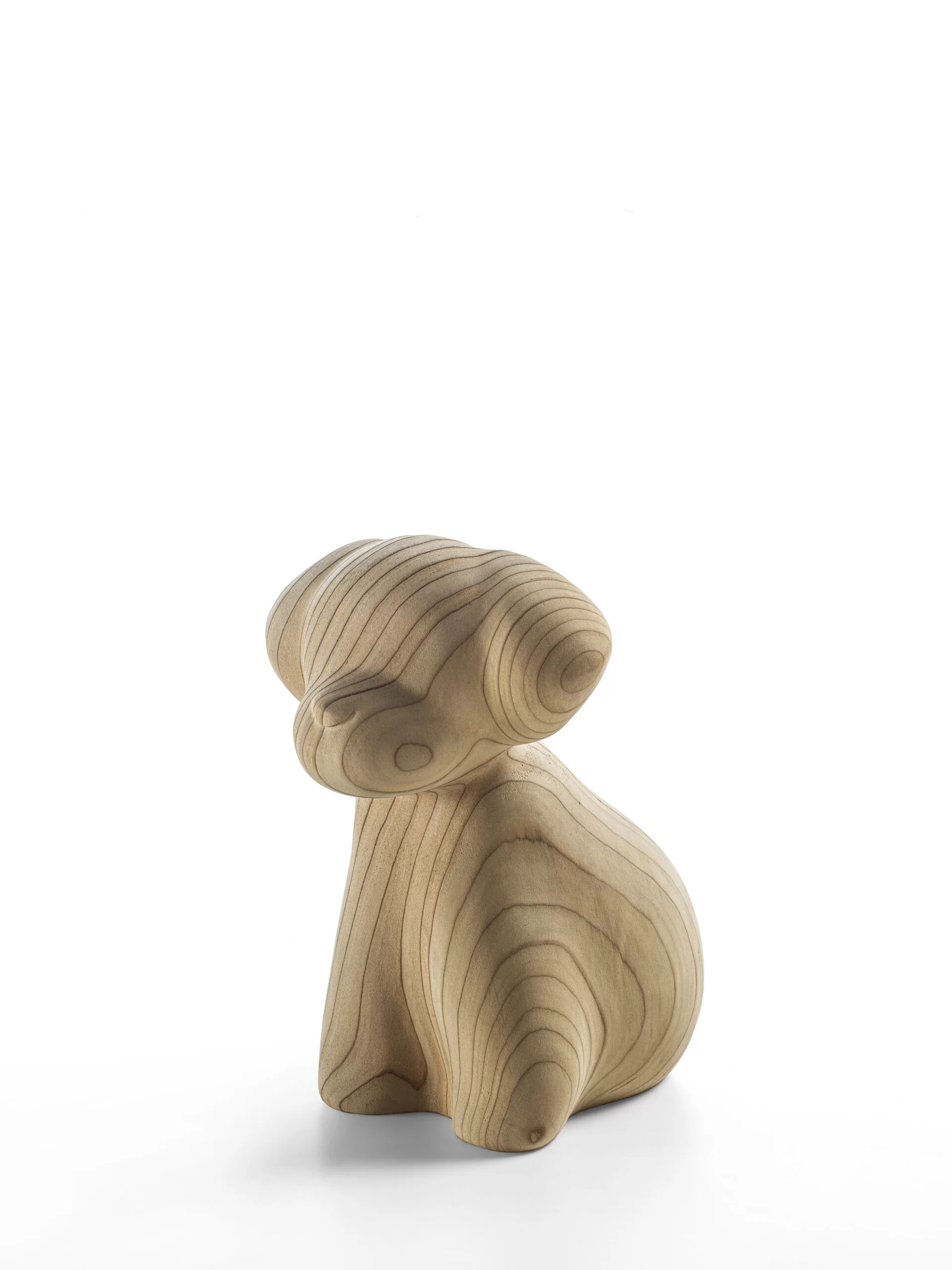 WAN Gallery 9