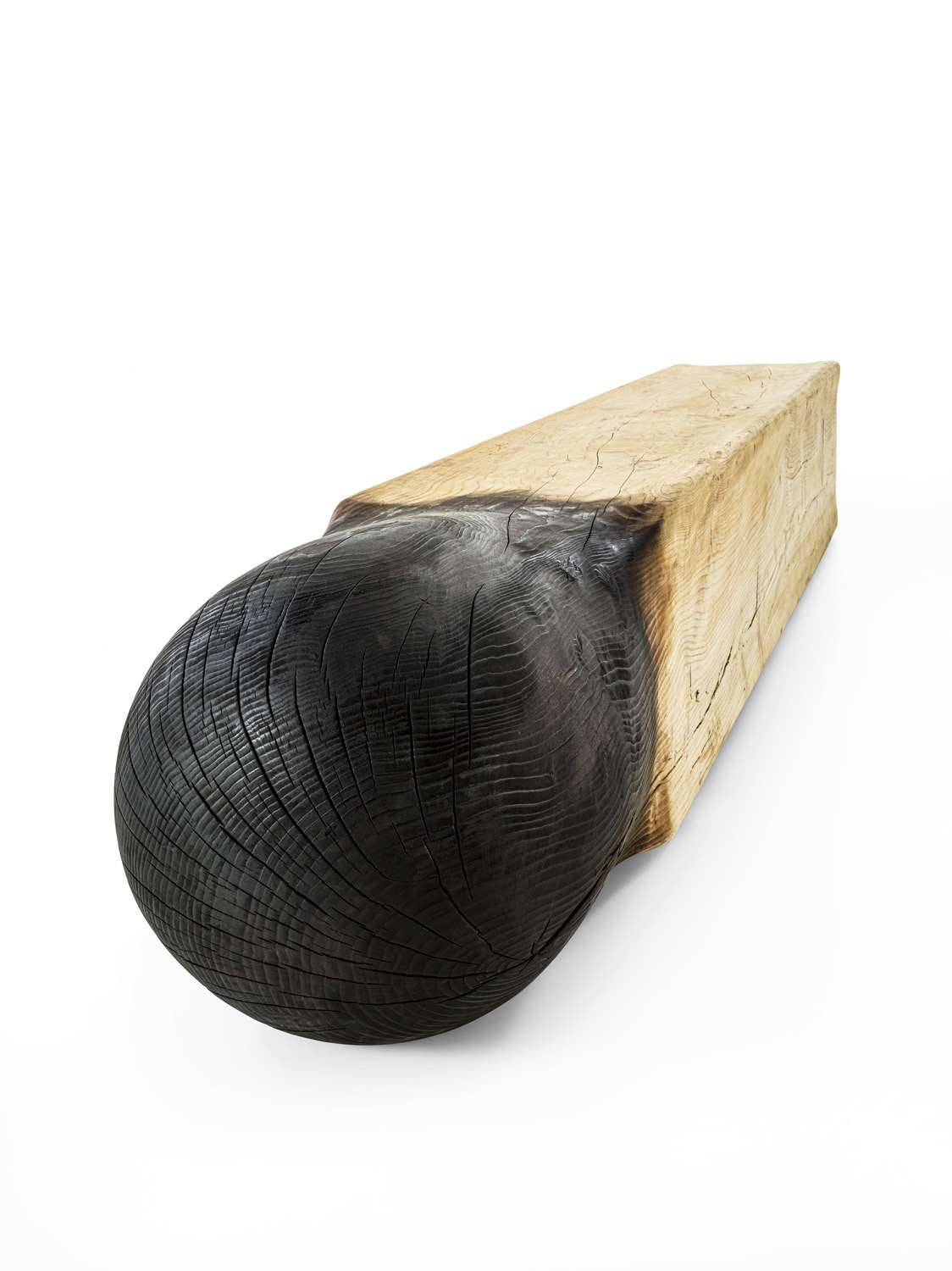 CE(D)RINO Gallery 6