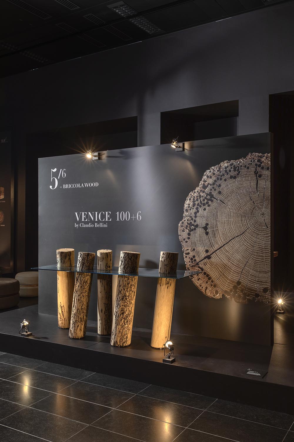VENICE 100+6 Gallery 6